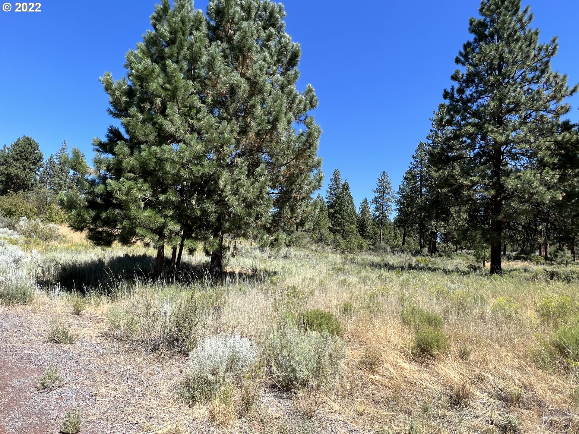 Irving Way, Unit 2 Chiloquin, OR 97624 - Photo 1 of 10 a view of a lake with a tree in the background