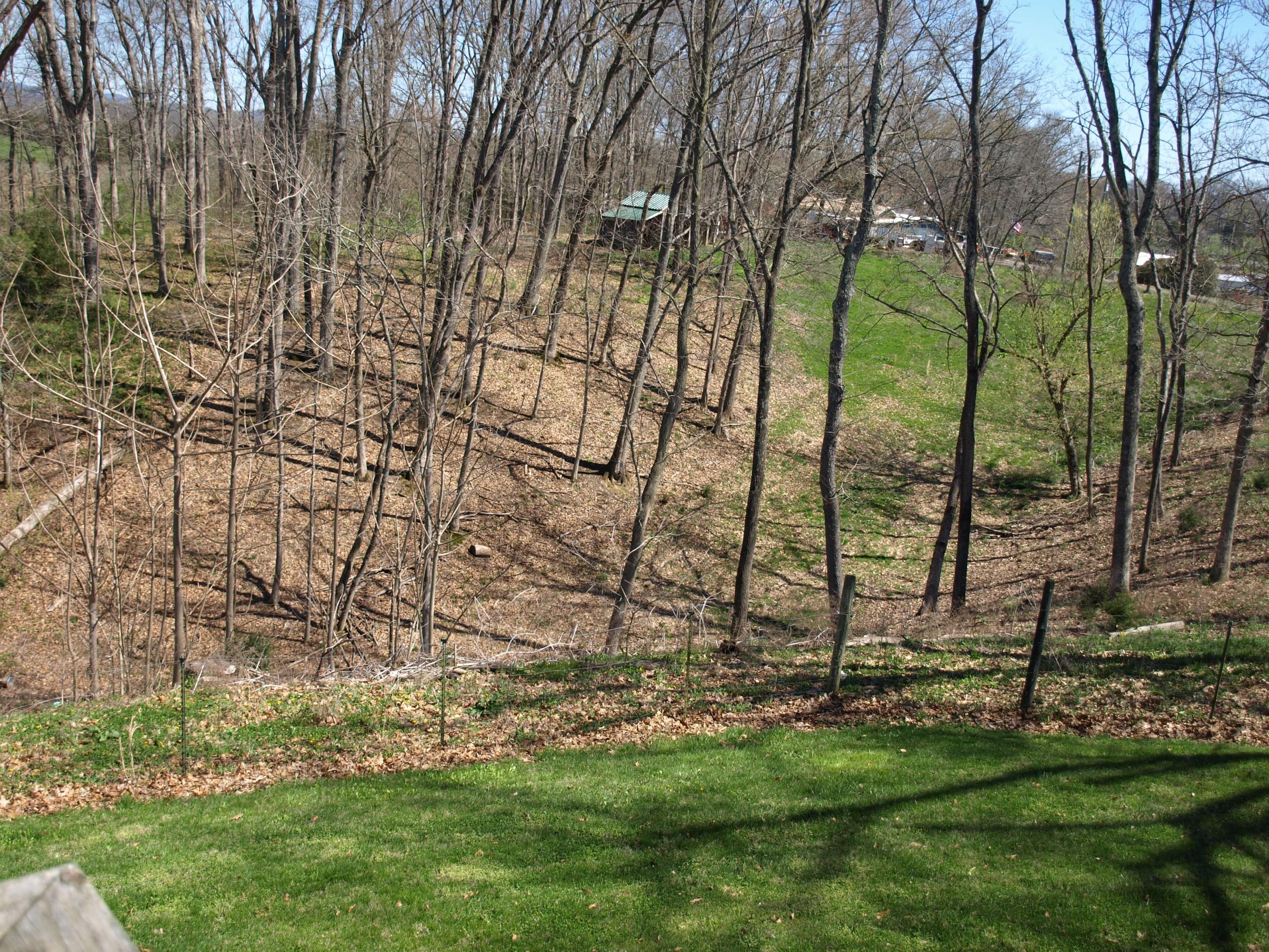 379 Culver Road Limestone, TN 37681 - Photo 17 of 25 04Back Yard 1