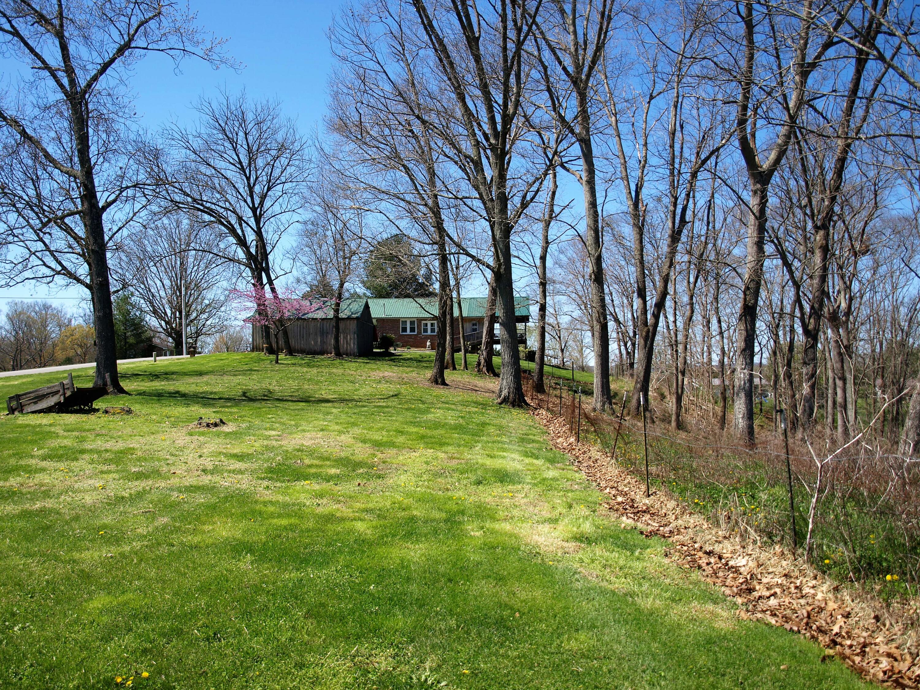 379 Culver Road Limestone, TN 37681 - Photo 23 of 25 04Side yard view of house
