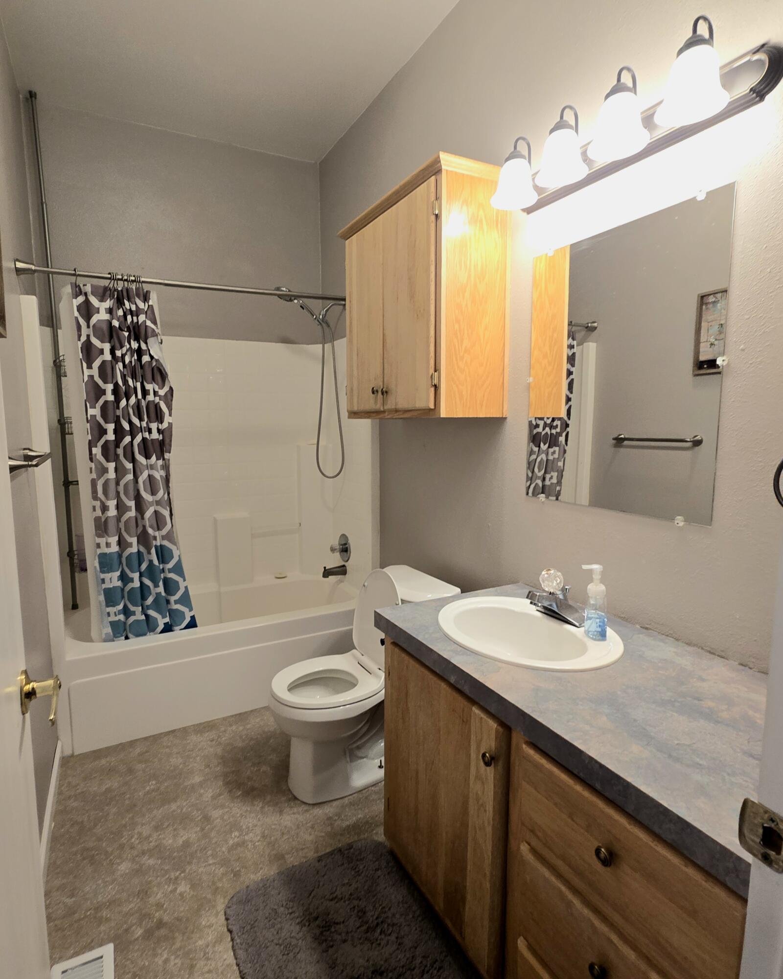 16617 Cottonwood Creek Road Hornbrook, CA 96044 - Photo 29 of 43 a bathroom with a sink a toilet and shower