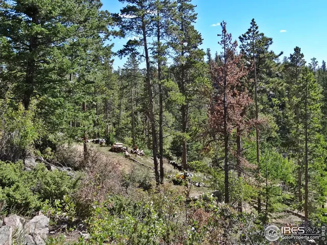 $95,000 | 203 Mattapony Way, Red Feather Lakes, CO 80545