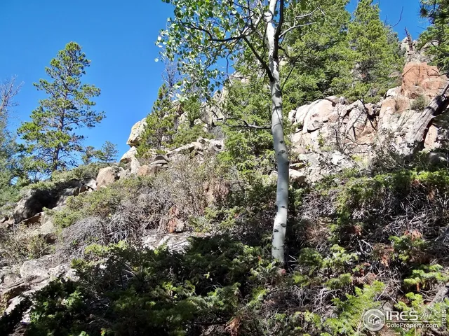 $95,000 | 203 Mattapony Way, Red Feather Lakes, CO 80545