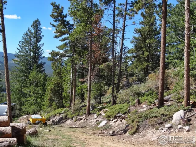 $95,000 | 203 Mattapony Way, Red Feather Lakes, CO 80545