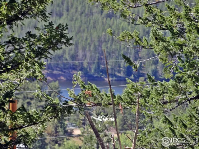 $95,000 | 203 Mattapony Way, Red Feather Lakes, CO 80545