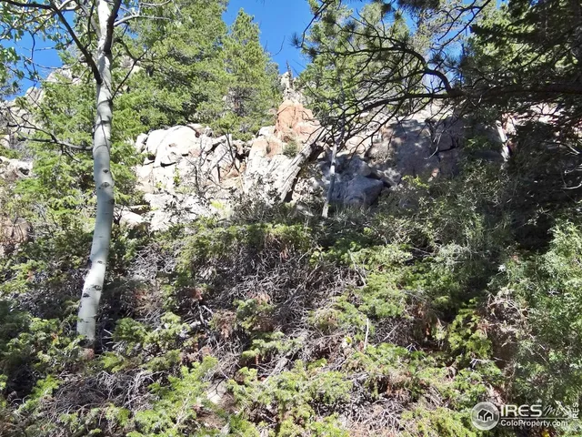 $95,000 | 203 Mattapony Way, Red Feather Lakes, CO 80545