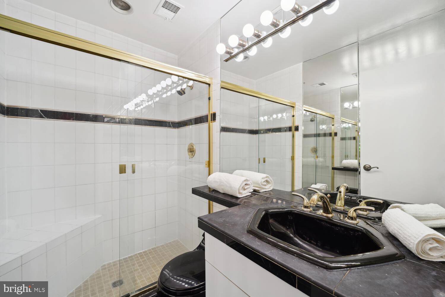 10959 Deborah Drive Potomac, MD 20854 - Photo 15 of 30 Primary Bathroom