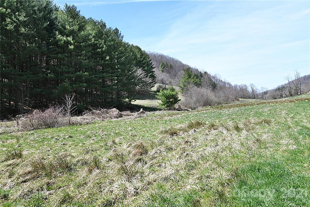 479 Joe Hampton Road Lansing, NC 28643 - Photo 28 of 44 a view of a field with a tree