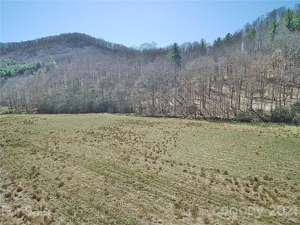 479 Joe Hampton Road Lansing, NC 28643 - Photo 36 of 44 a view of a yard with mountain and trees