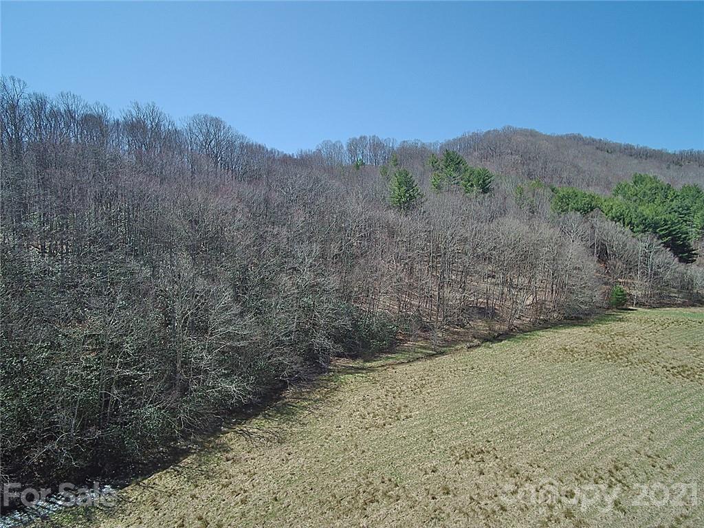 479 Joe Hampton Road Lansing, NC 28643 - Photo 43 of 44 a view of a dry yard with mountains in the background