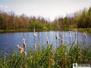 Newcomb Road Addison, NY 14801 - Photo 1 of 1