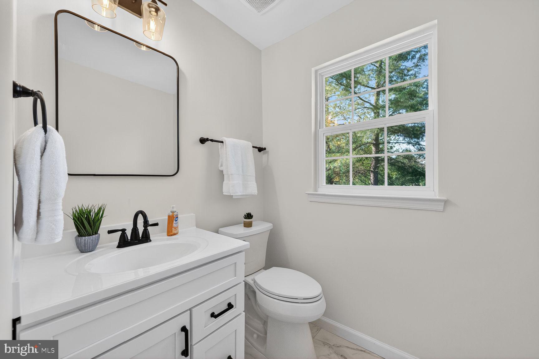 2339 Colts Brook Drive Reston, VA 20191 - Photo 23 of 51 a bathroom with a sink a toilet and a mirror