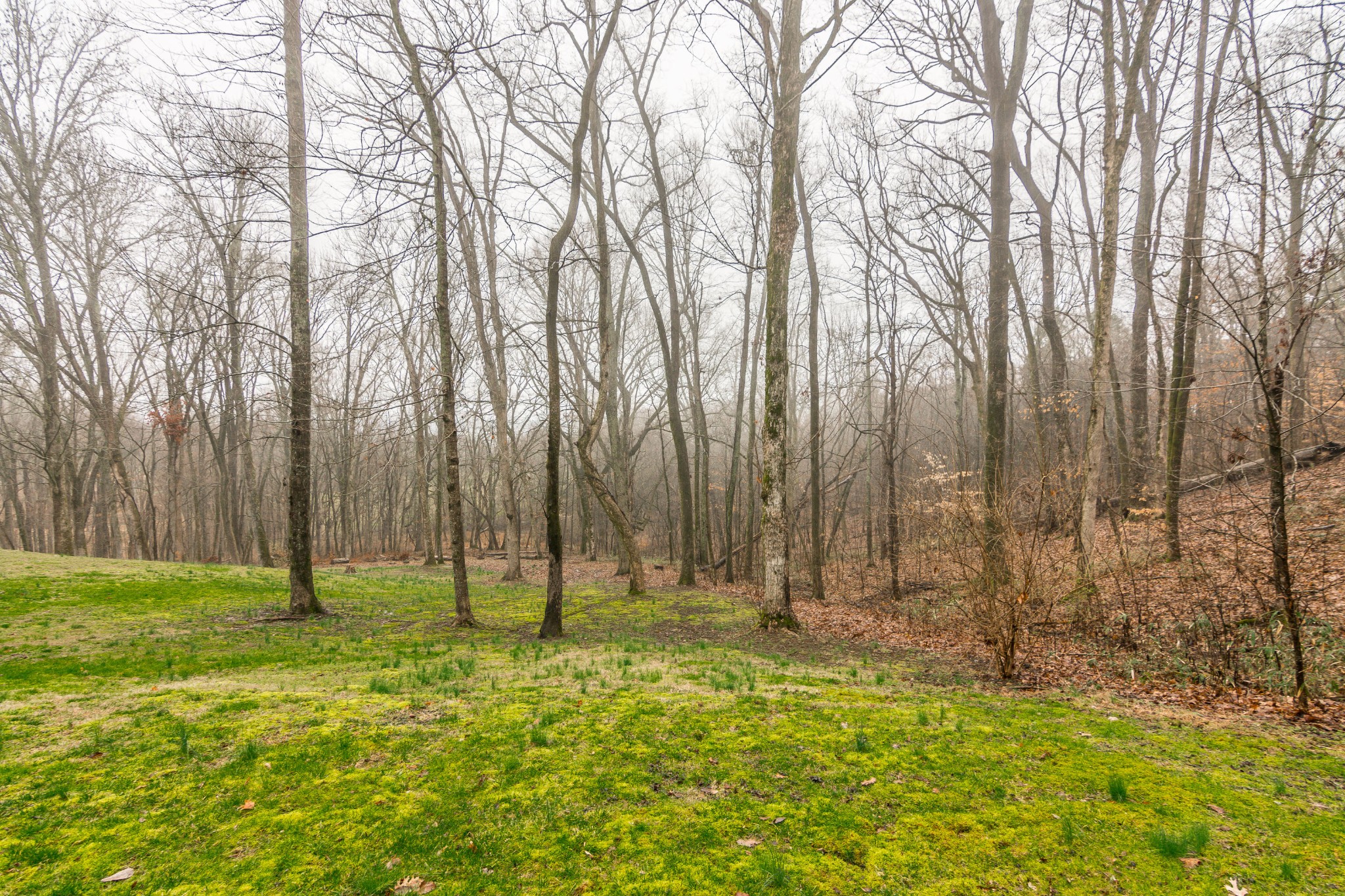 2718 McLemore Road Franklin, TN 37064 - Photo 45 of 48 Gallery Image 45