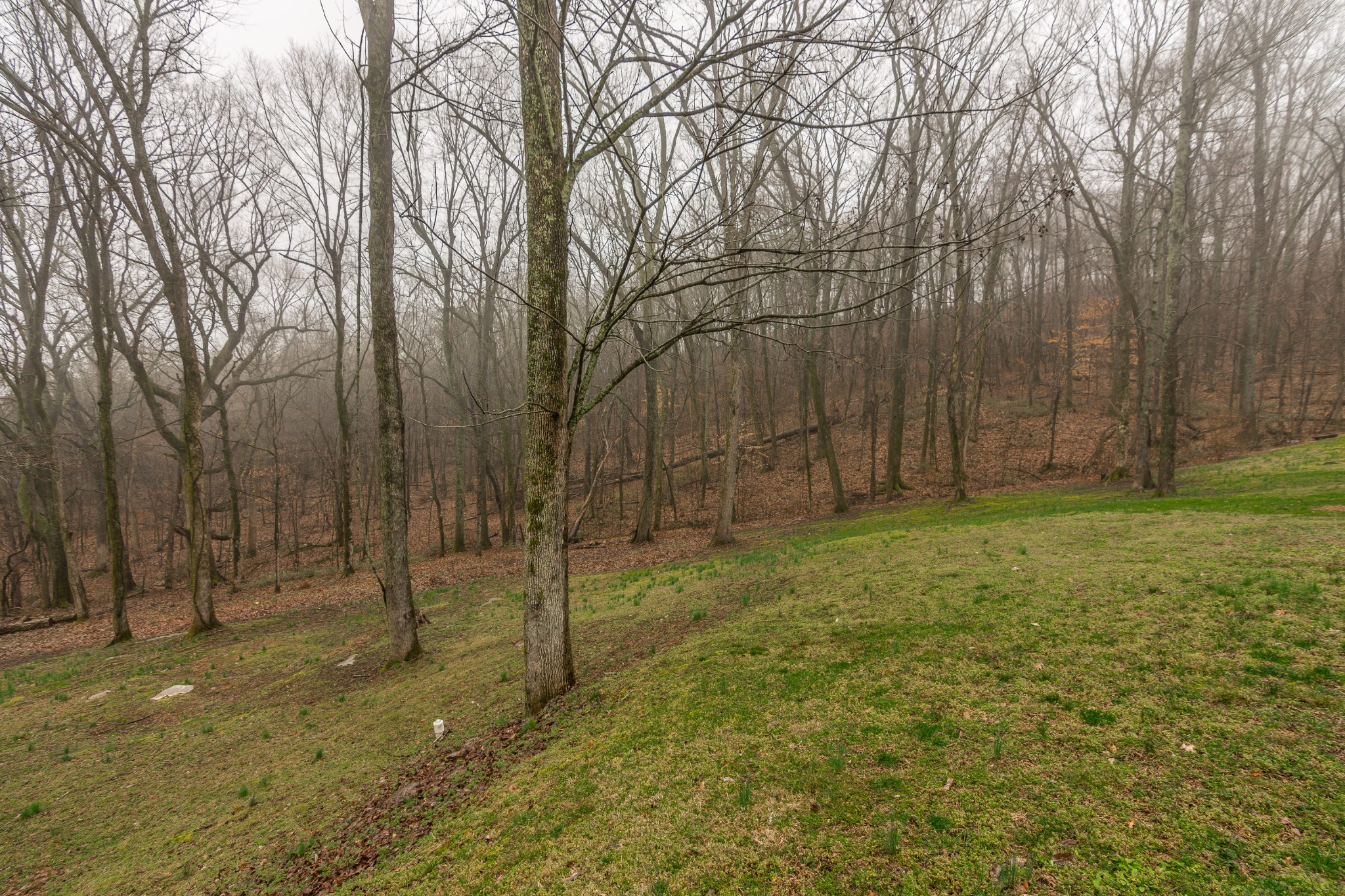 2718 McLemore Road Franklin, TN 37064 - Photo 47 of 48 Gallery Image 47