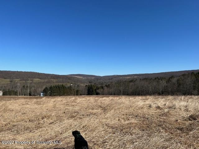 174 Upper Gelatt Road Thompson, PA 18465 - Photo 13 of 19 a view of lake with mountain in the background