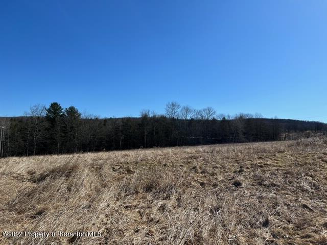 174 Upper Gelatt Road Thompson, PA 18465 - Photo 15 of 19 a view of lake view and mountain view