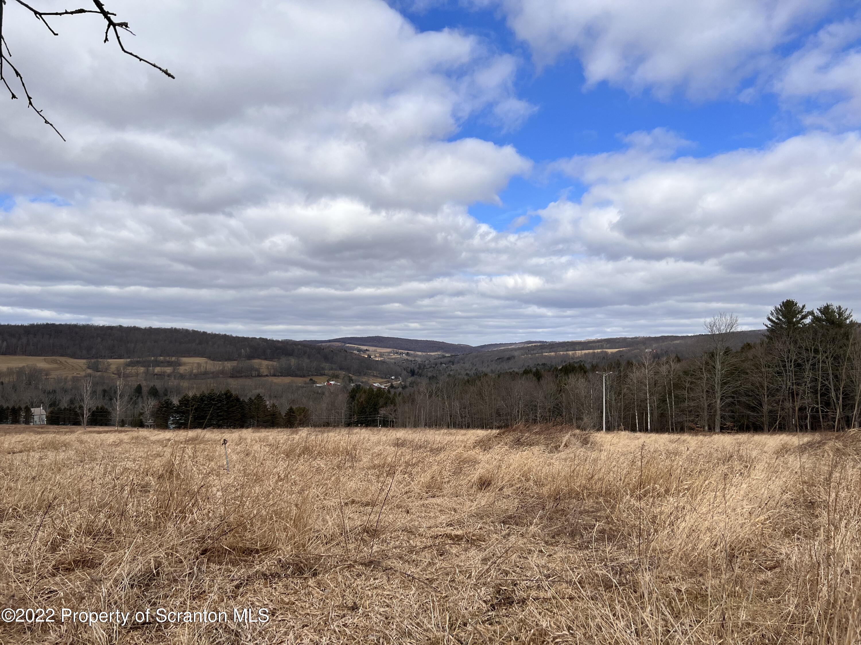174 Upper Gelatt Road Thompson, PA 18465 - Photo 2 of 19 a view of swimming pool with a yard in the background
