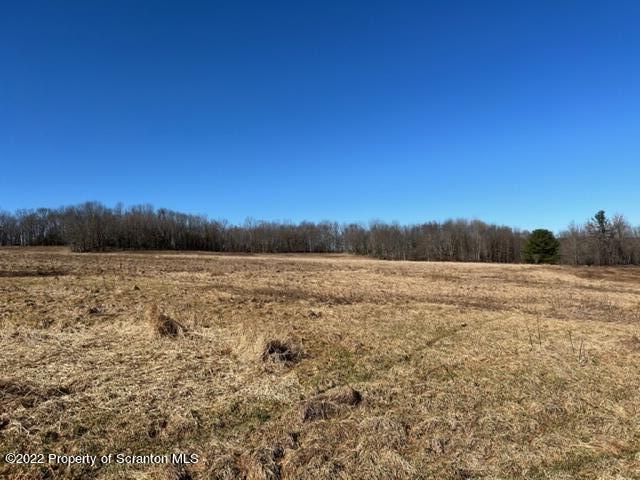 174 Upper Gelatt Road Thompson, PA 18465 - Photo 3 of 19 a view of lake and mountain view