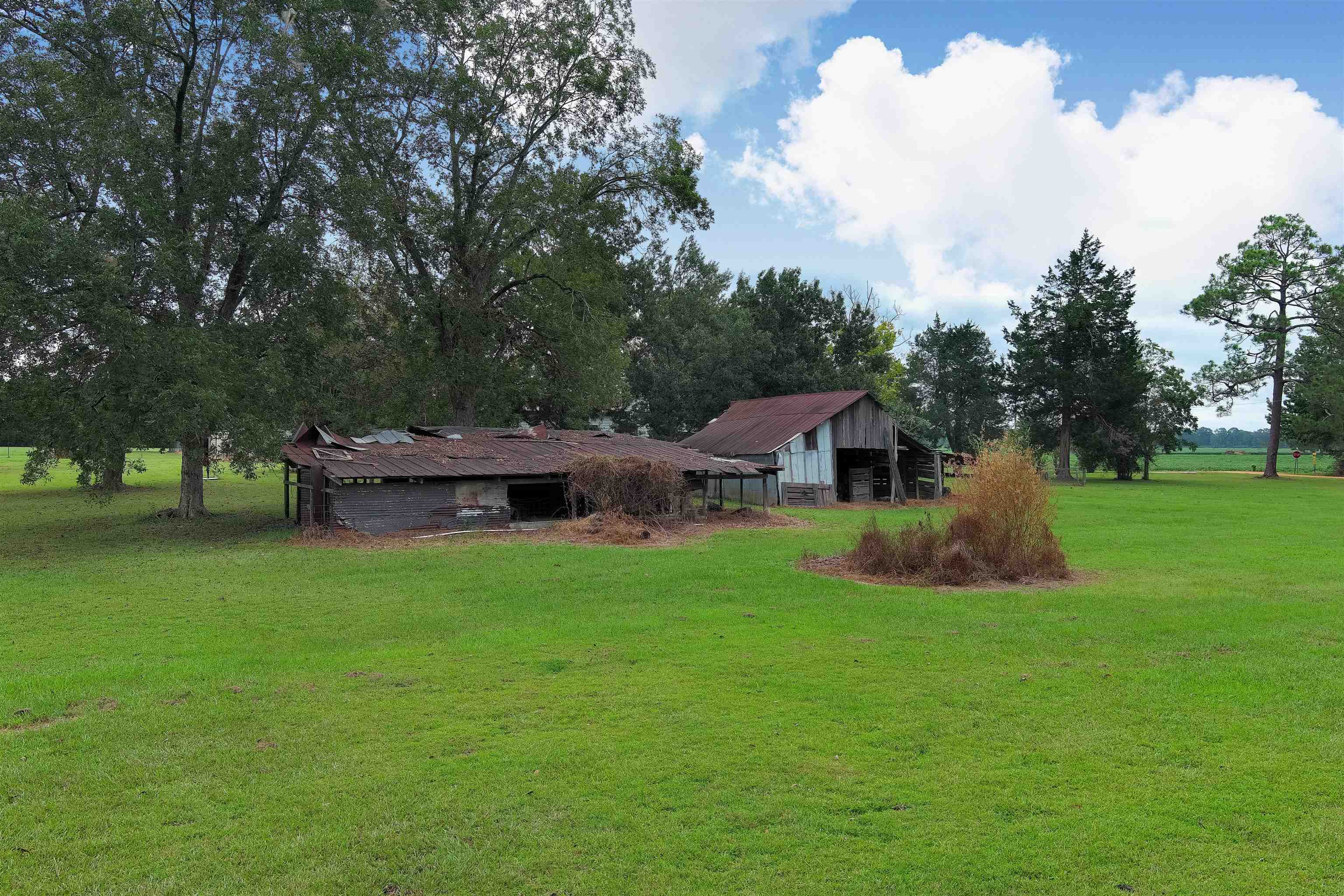 1147 Mack Pond Road Atmore, AL 36502 - Photo 27 of 40 View of yard with an outdoor structure