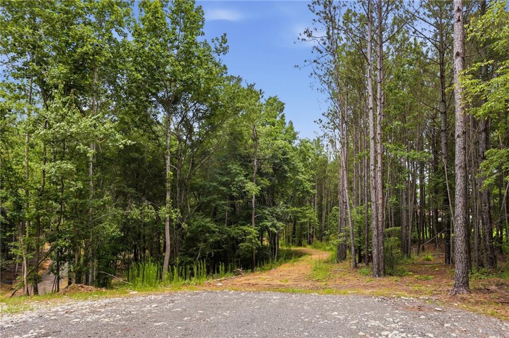 Lot 1 Pete Path Dallas, GA 30157 - Photo 5 of 21