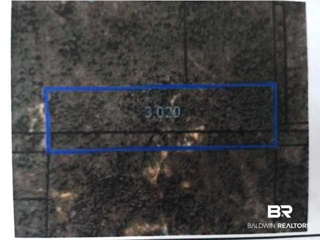 0 Highway 35 Dickson Al Tyler, AL 36785 - Photo 1 of 1