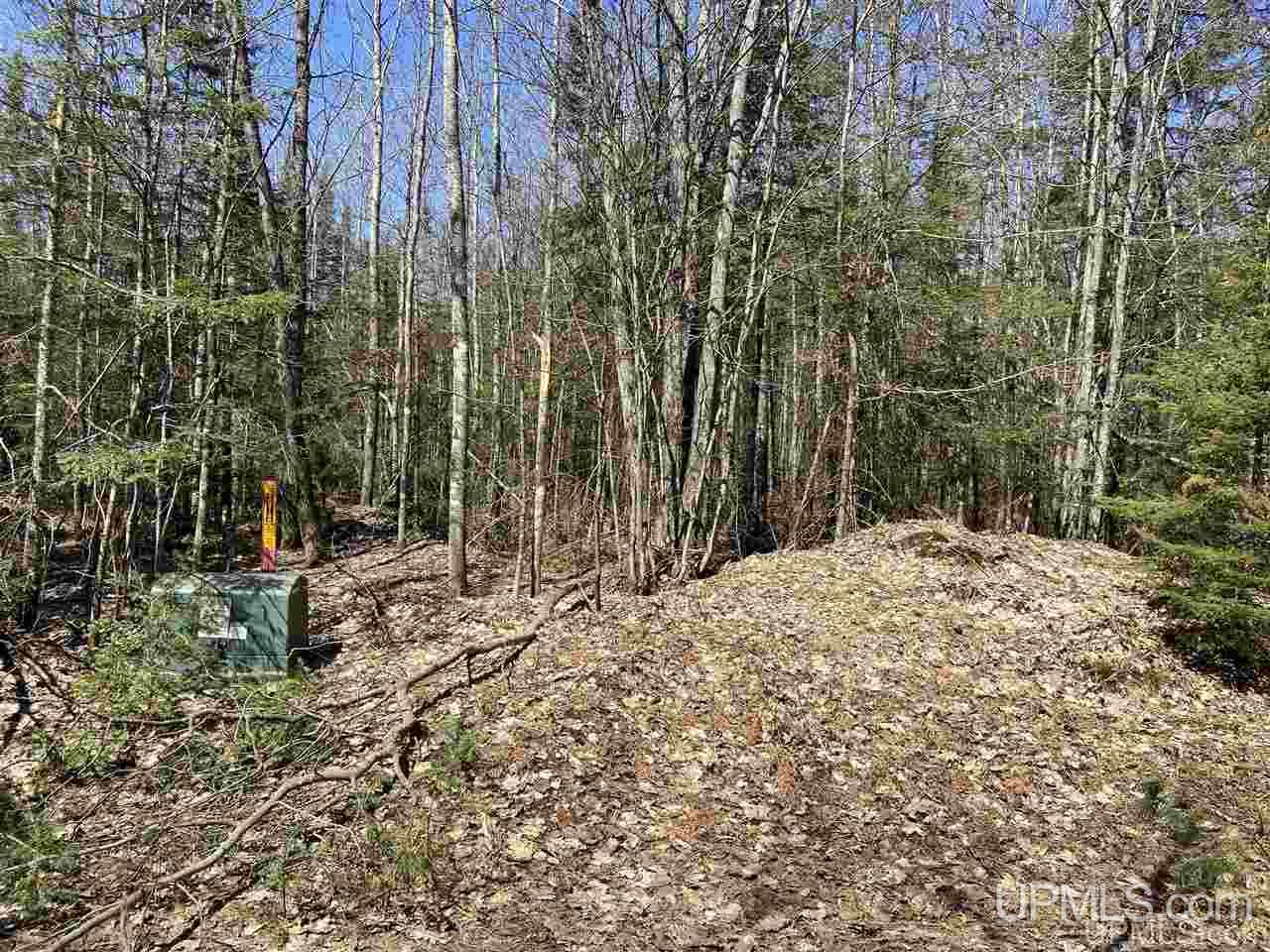 Tbd Tbd Off Powerline Gwinn, MI 49841 - Photo 27 of 28
