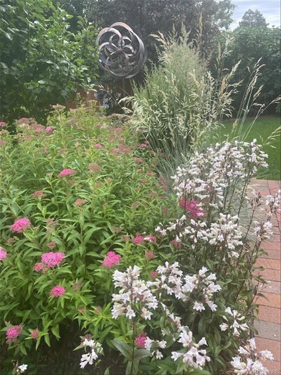 3752 South Helena Way Aurora, CO 80013 - Photo 34 of 50