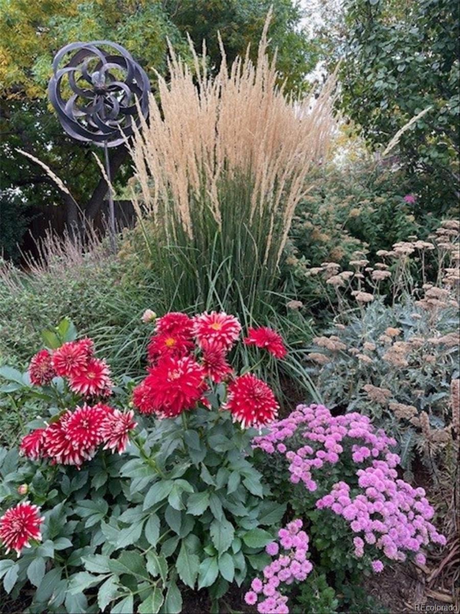 3752 South Helena Way Aurora, CO 80013 - Photo 37 of 50