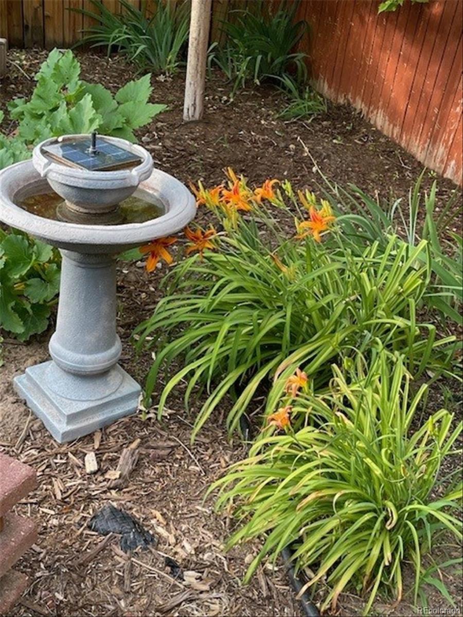 3752 South Helena Way Aurora, CO 80013 - Photo 39 of 50