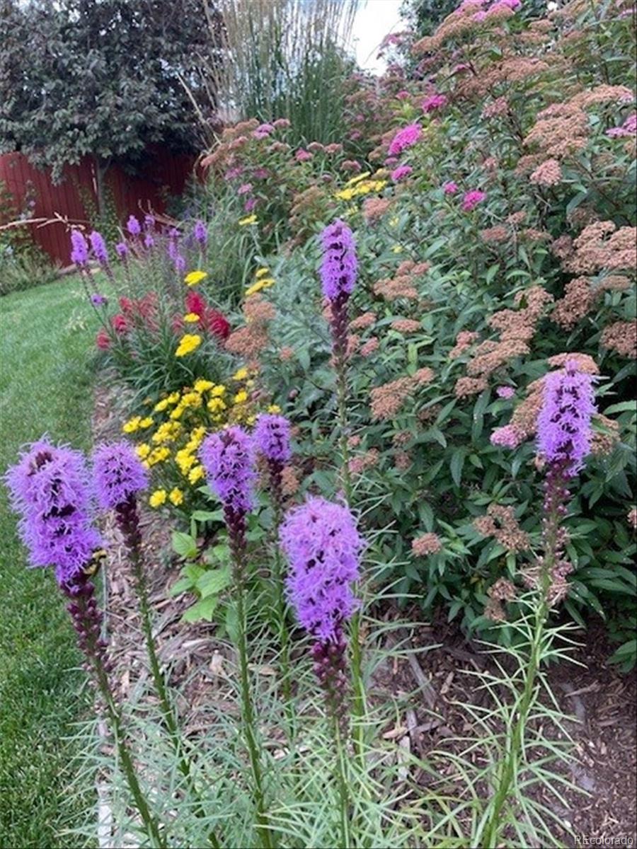 3752 South Helena Way Aurora, CO 80013 - Photo 40 of 50