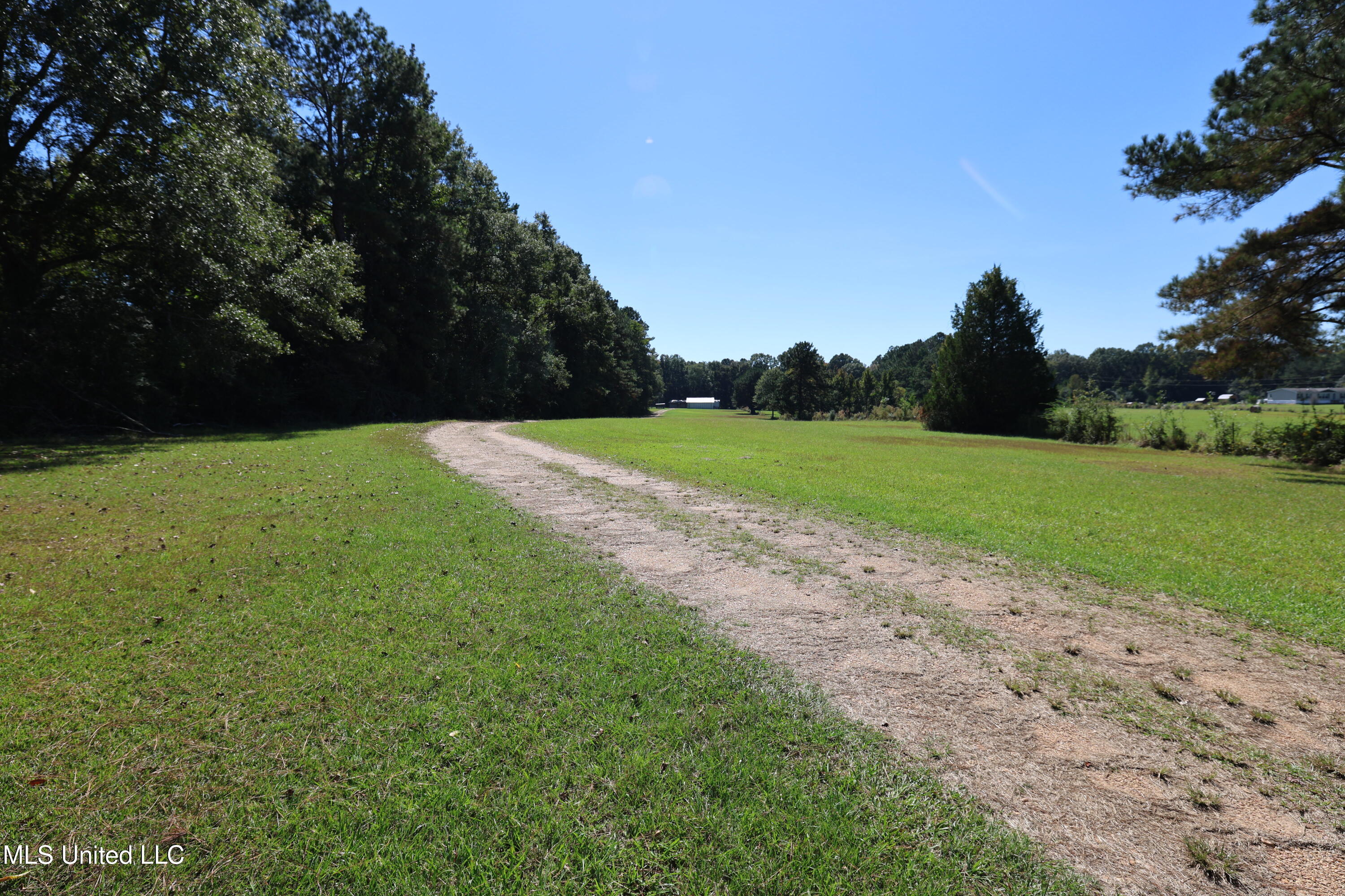 9508 Highway 98 Meadville, MS 39653 - Photo 17 of 30 FR6A4495