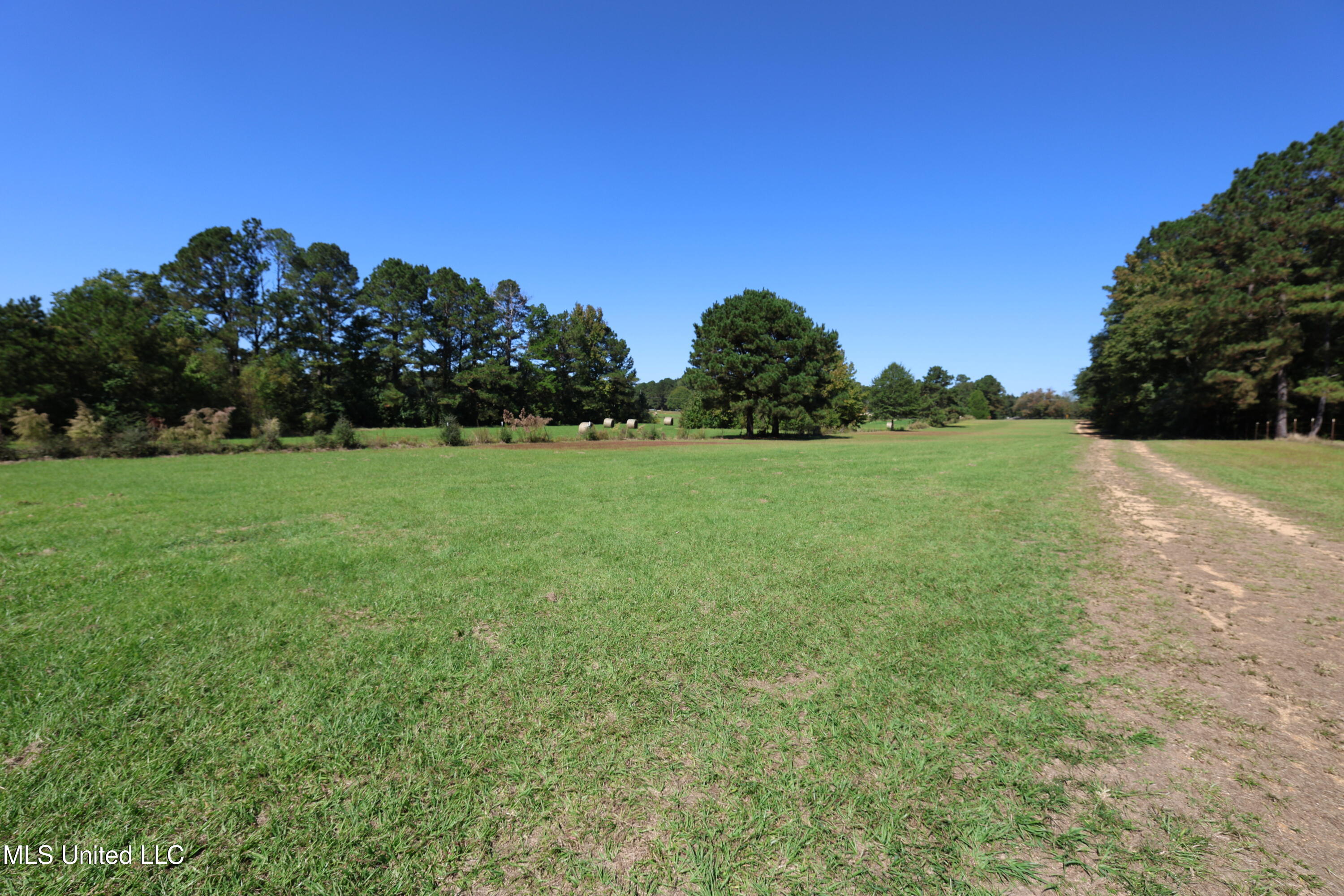 9508 Highway 98 Meadville, MS 39653 - Photo 18 of 30 FR6A4500