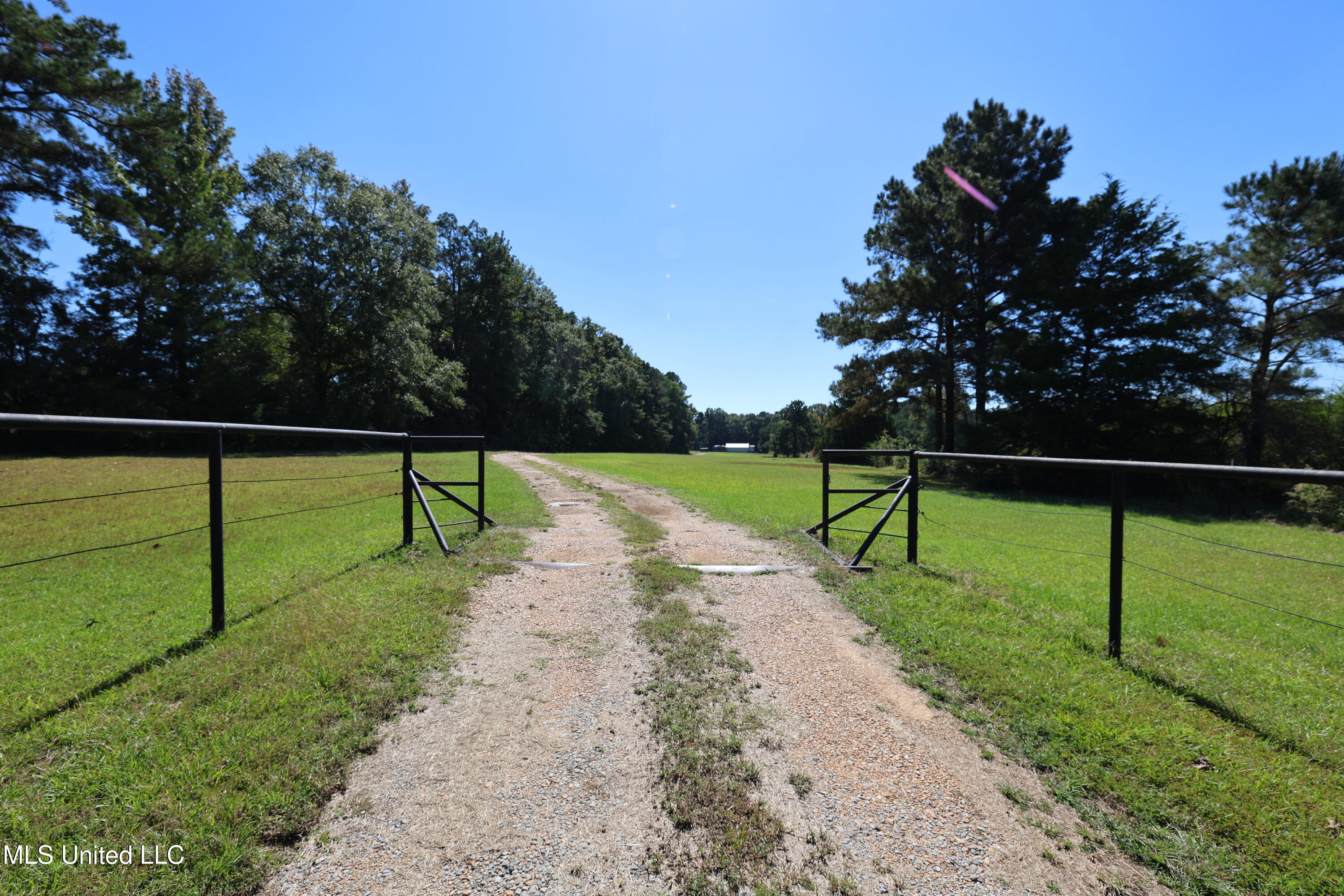 9508 Highway 98 Meadville, MS 39653 - Photo 26 of 30 FR6A4492