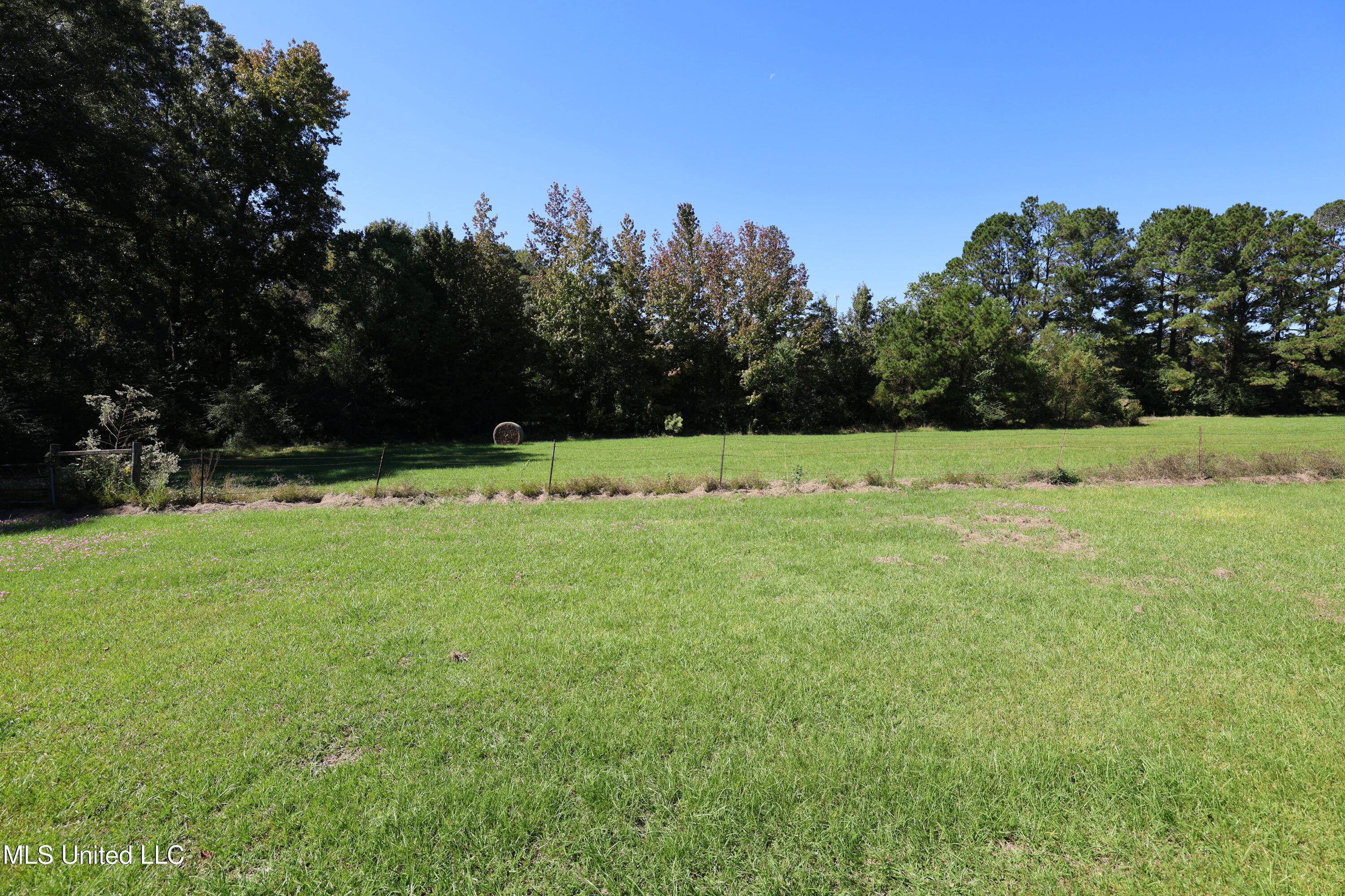9508 Highway 98 Meadville, MS 39653 - Photo 28 of 30 FR6A4511