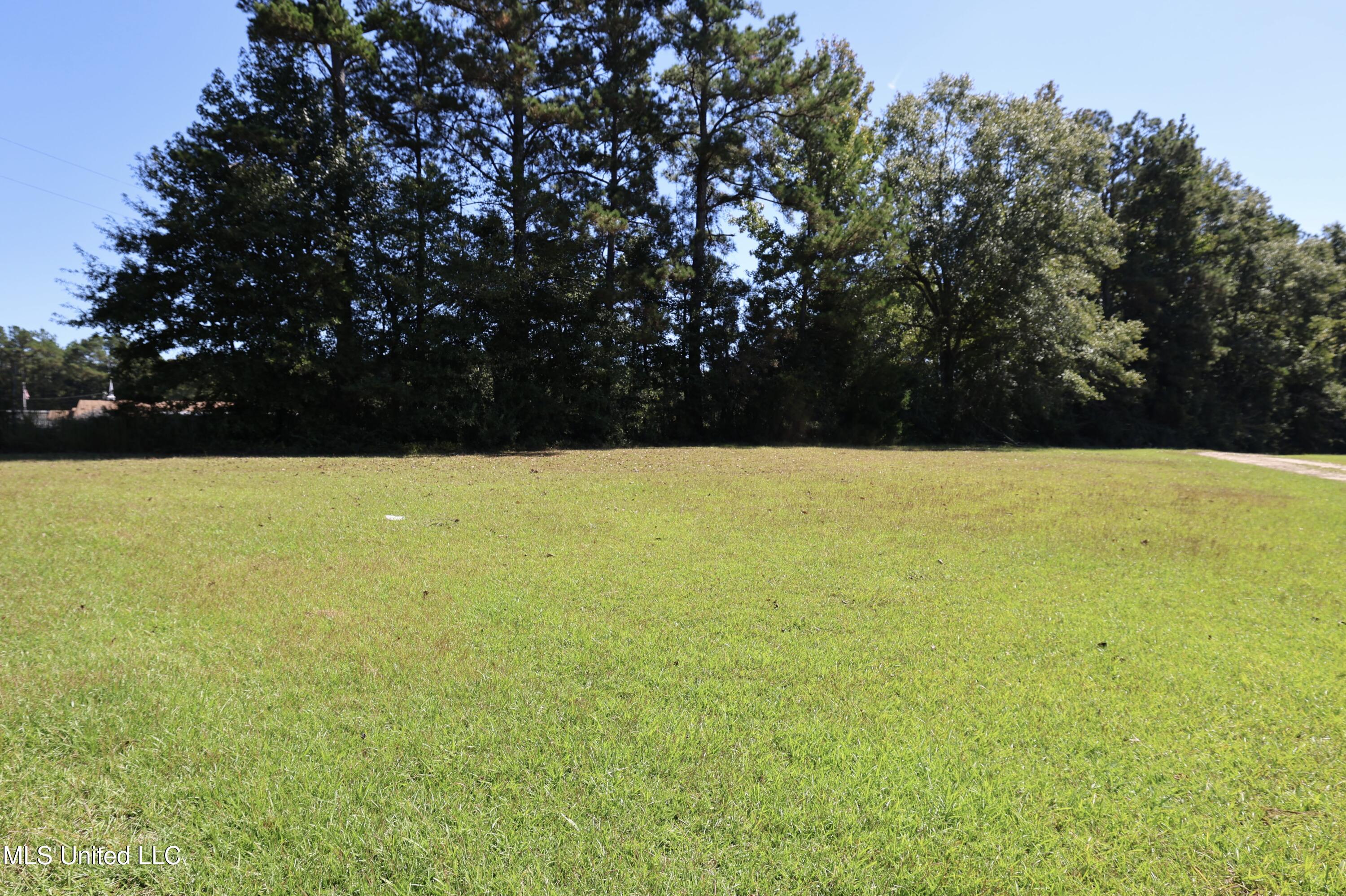 9508 Highway 98 Meadville, MS 39653 - Photo 29 of 30 FR6A4494