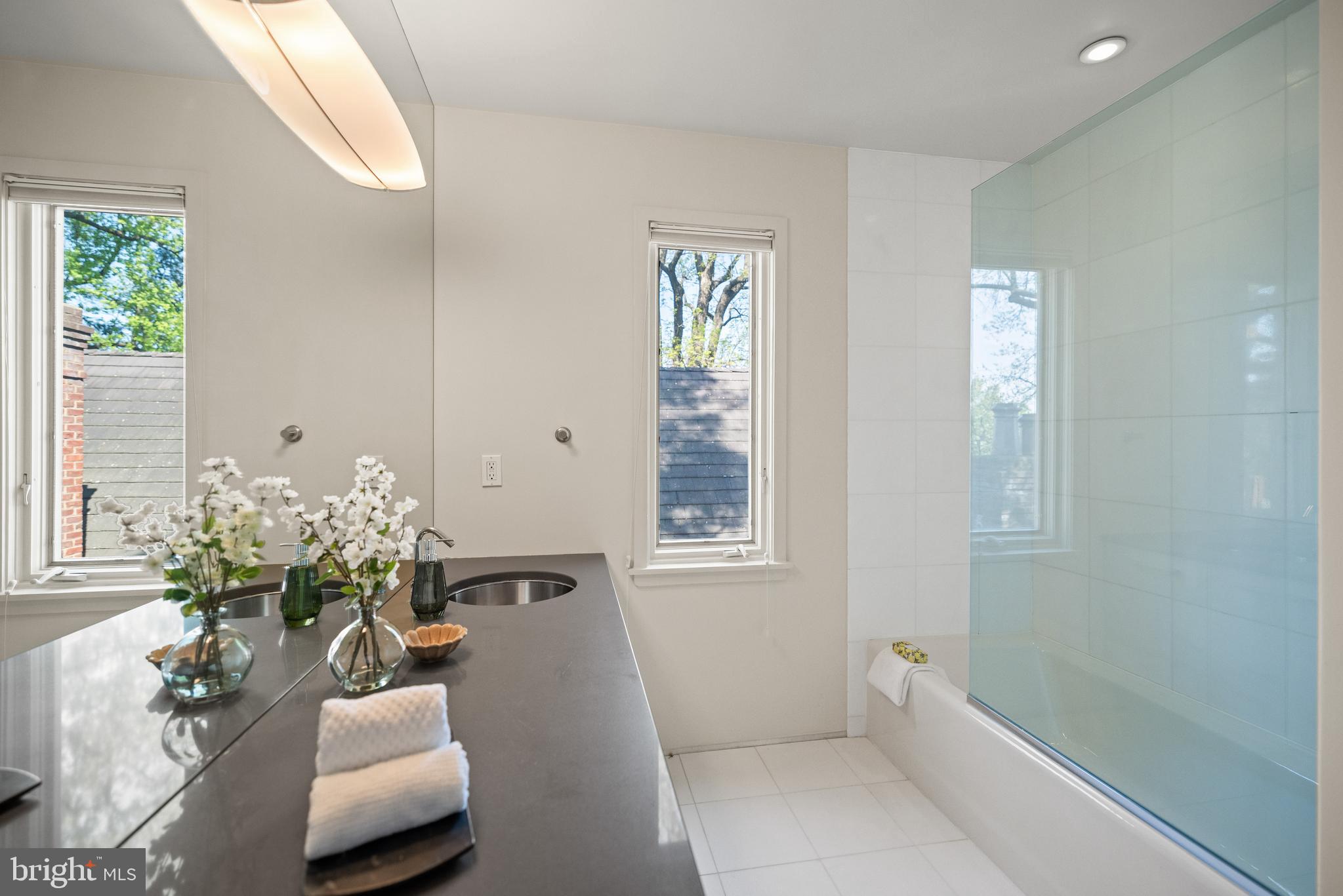 2319 Bancroft Place Northwest Washington, DC 20008 - Photo 24 of 37 a bath room with a couch and a potted plant