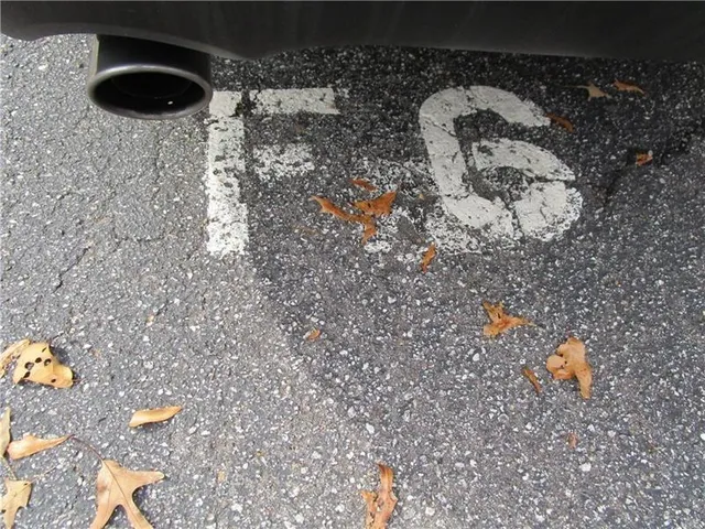 a view of outdoor space with garden and seating