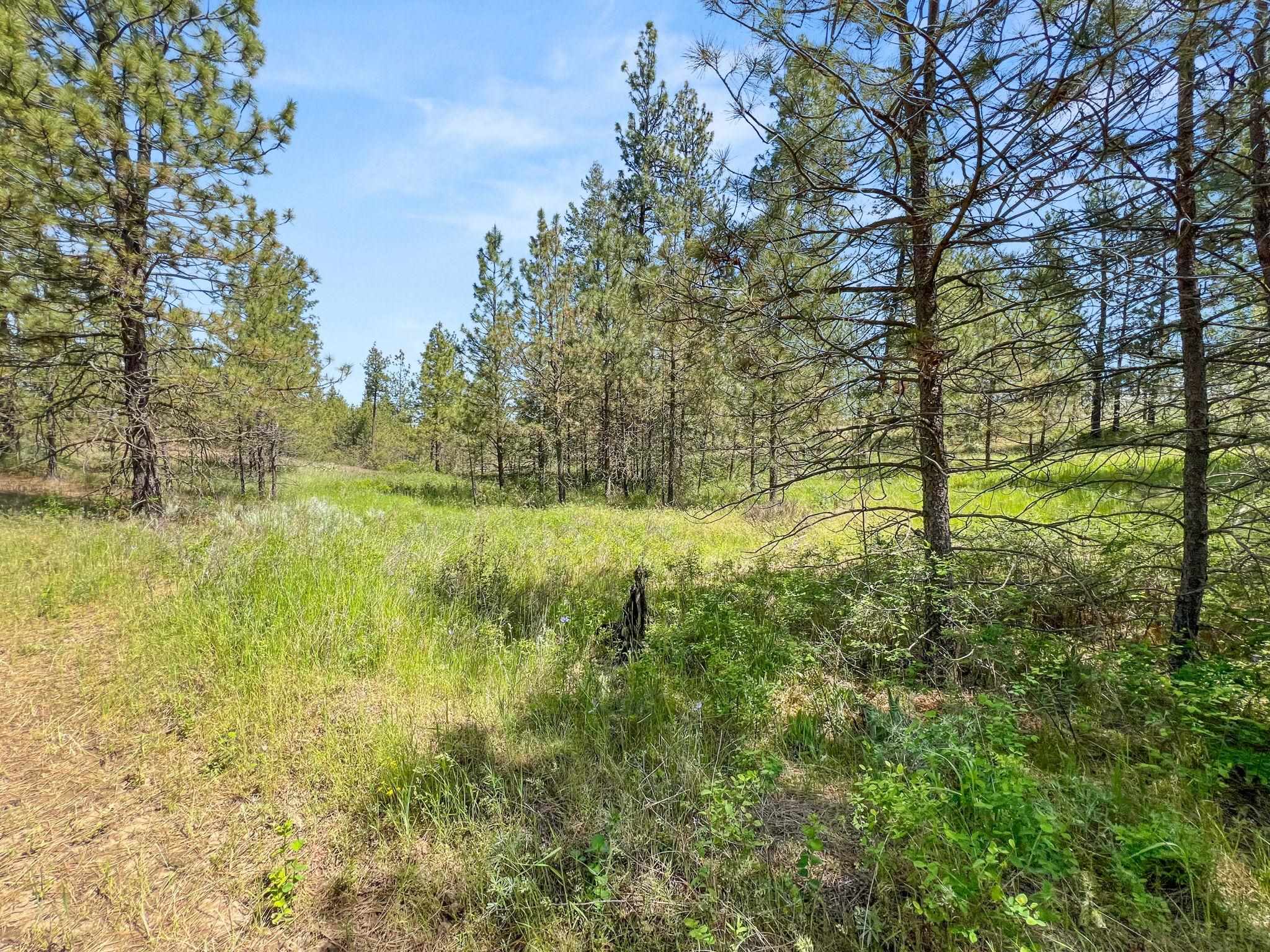 0 West Highland Road Ford, WA 99013 - Photo 34 of 41
