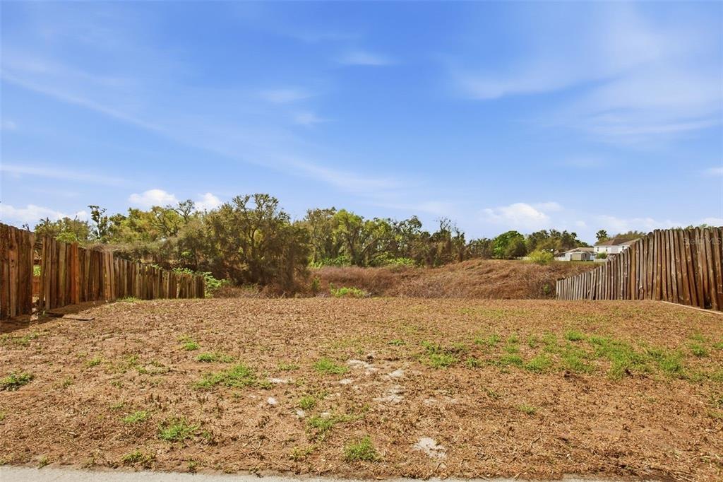 11331 Ivy Flower Loop Riverview, FL 33578 - Photo 32 of 36 a view of lake with mountain in the background