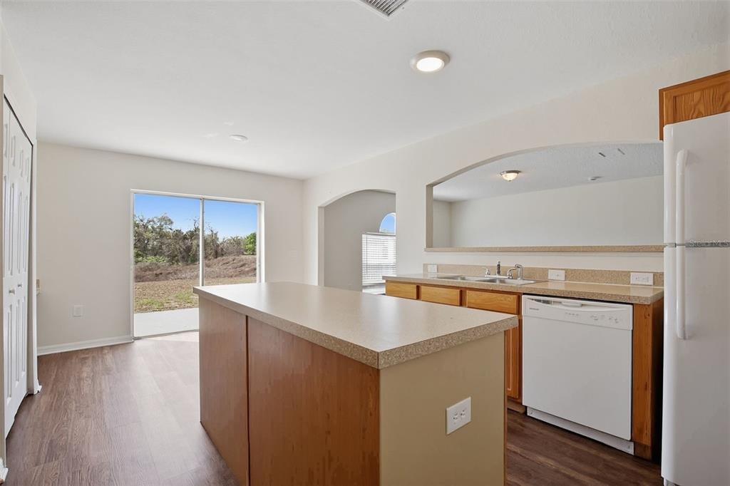 11331 Ivy Flower Loop Riverview, FL 33578 - Photo 8 of 36 a kitchen that has a sink a stove and a wooden floor