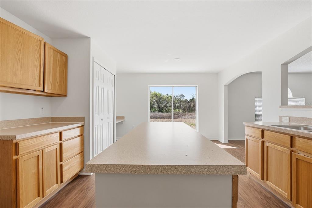 11331 Ivy Flower Loop Riverview, FL 33578 - Photo 9 of 36 a view of a kitchen with wooden floor and staircase