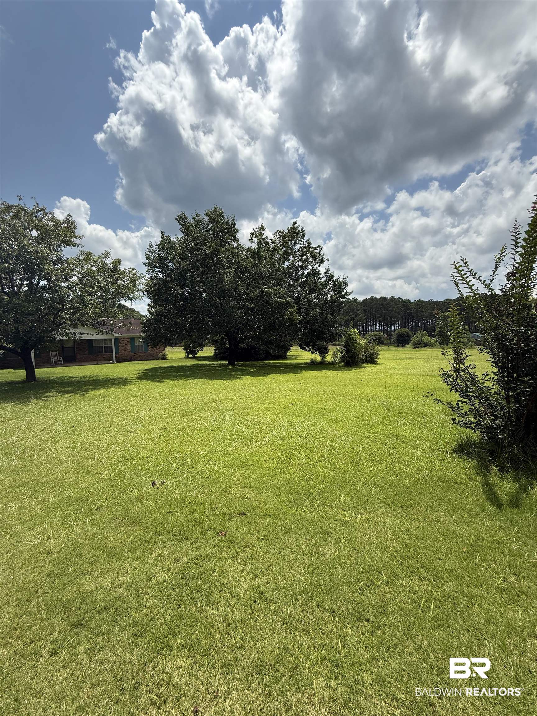 227 County Road 14 Range, AL 36473 - Photo 5 of 41