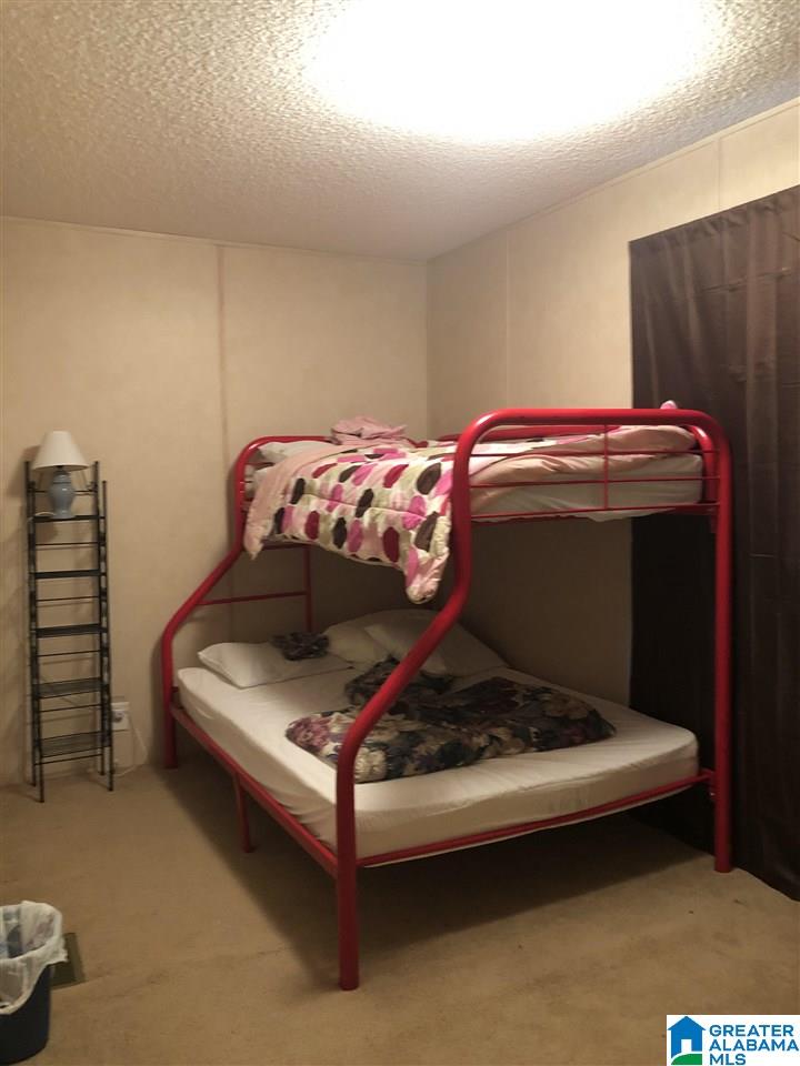 3659 Old Arley Road Houston, AL 35572 - Photo 21 of 36