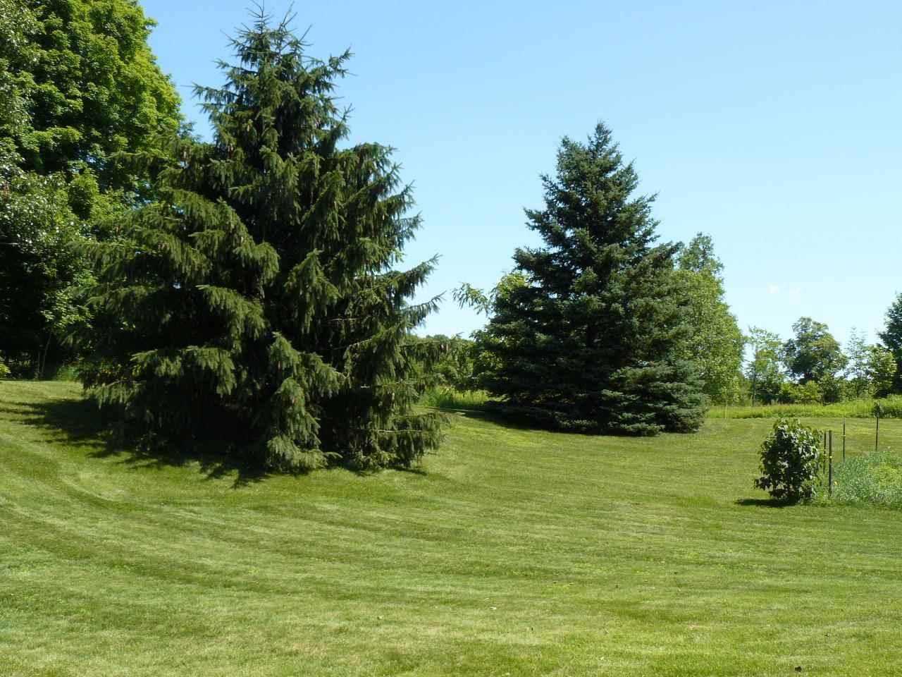 7993 Schell Road Buckley, MI 49620 - Photo 38 of 44 1787903-37.JPG
