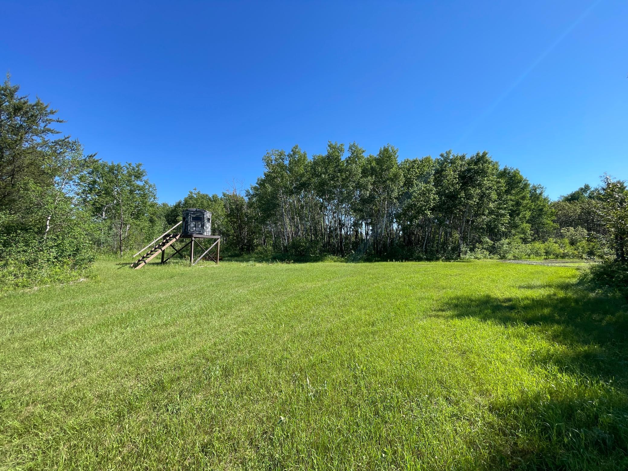 Tbd 440th Avenue Roseau, MN 56751 - Photo 32 of 80
