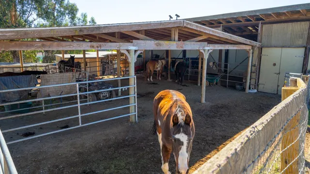 $2,499,000 | 487 Ormsby Lane, Petaluma, CA 94954