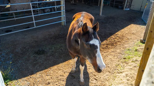 $2,499,000 | 487 Ormsby Lane, Petaluma, CA 94954