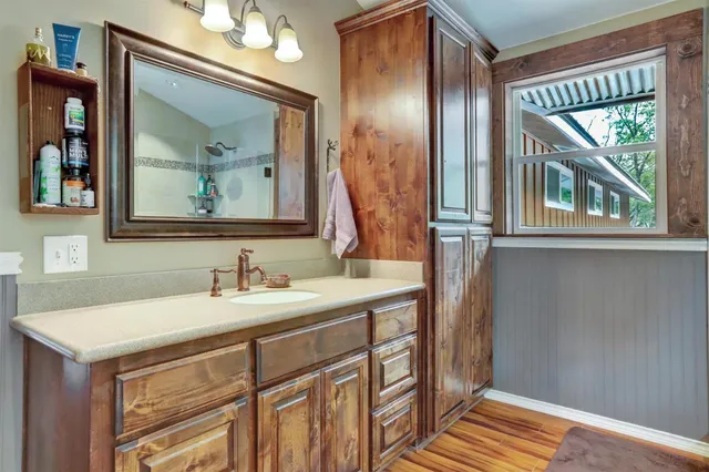 a view of a dry yard with trees