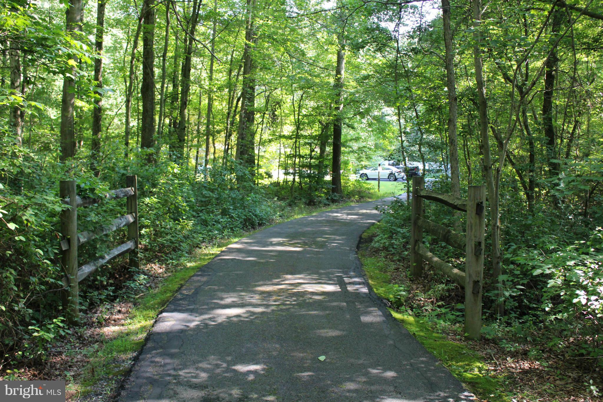 34397 Vandyke Road Galena, MD 21635 - Photo 2 of 19 Driveway