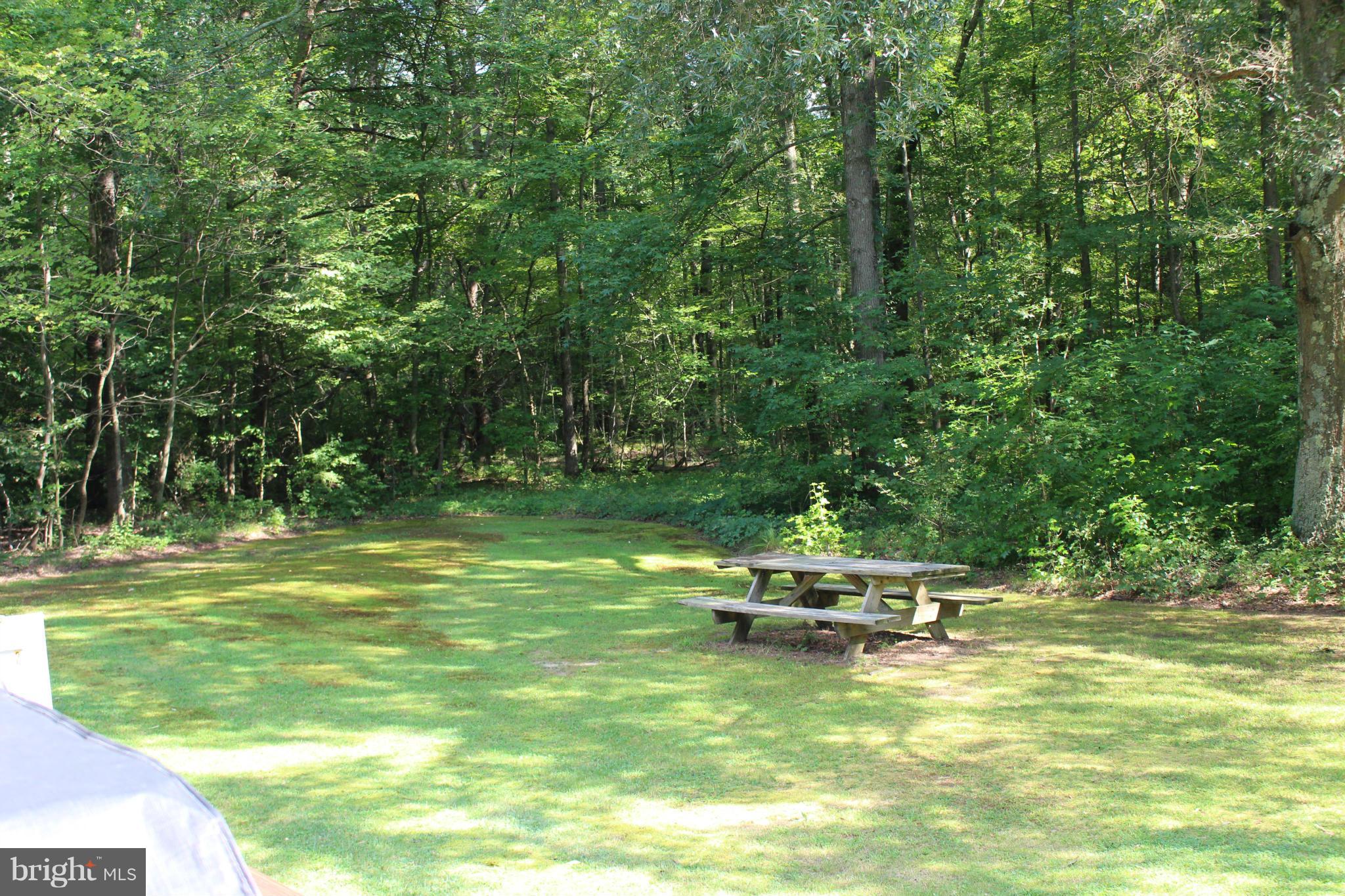 34397 Vandyke Road Galena, MD 21635 - Photo 16 of 19 Backyard