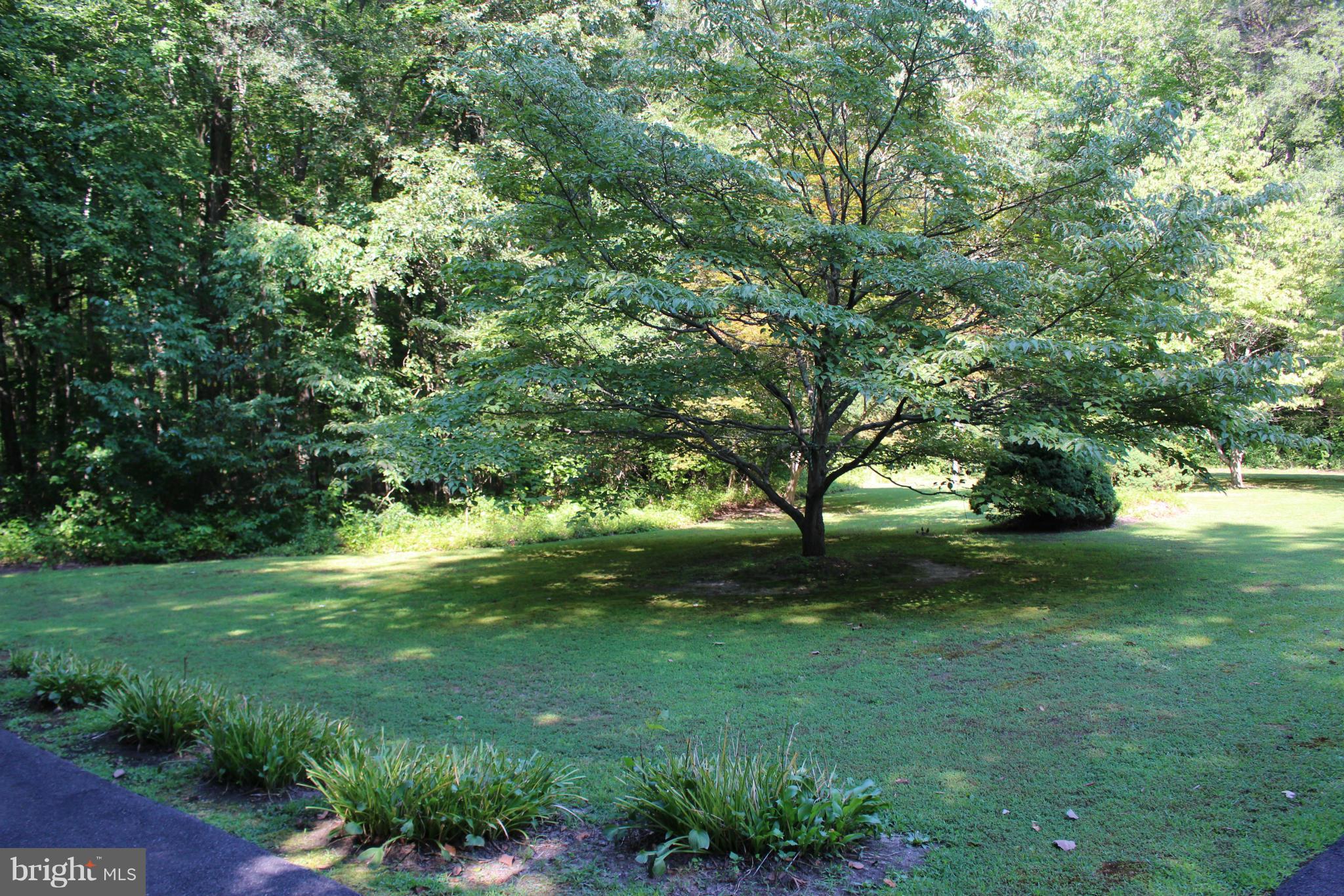 34397 Vandyke Road Galena, MD 21635 - Photo 3 of 19 Front yard